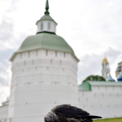 Photo #13700578