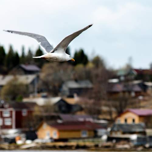 Photo #13700598