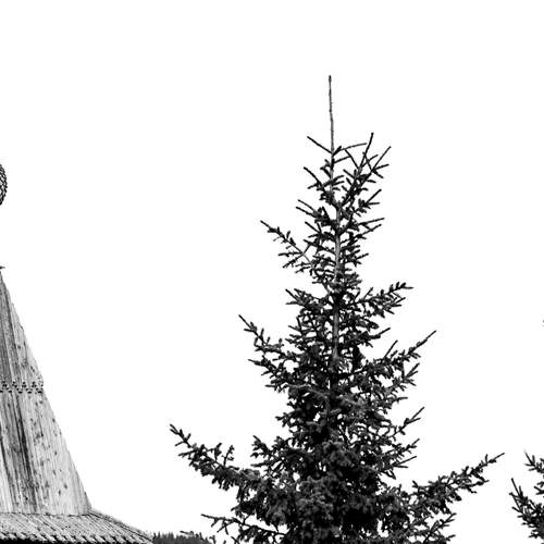 Photo #13700607