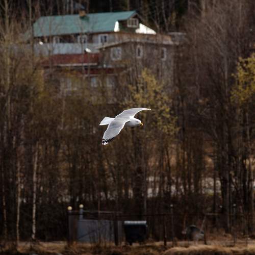 Photo #13700641
