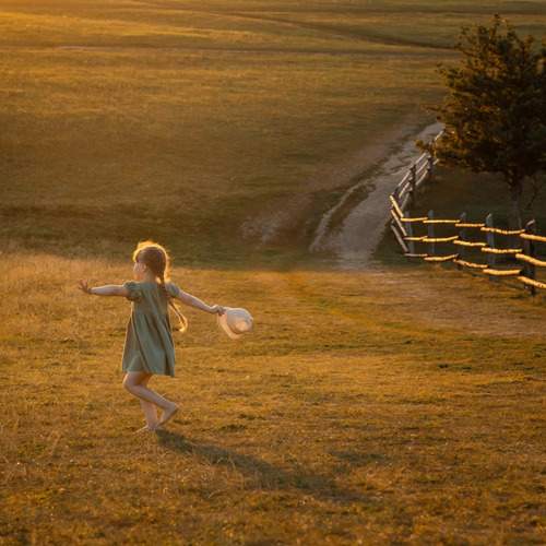 Photo #13700646