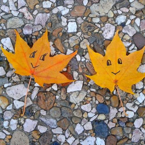Photo #13700653