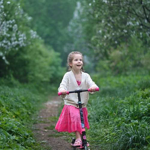 Photo #13700656