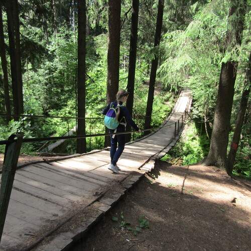 Photo #13700709