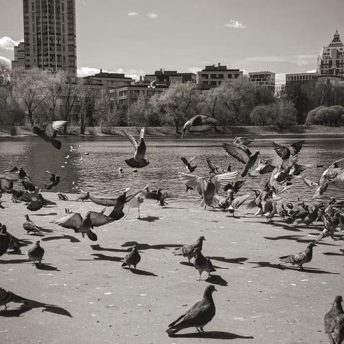 Photo #13700741
