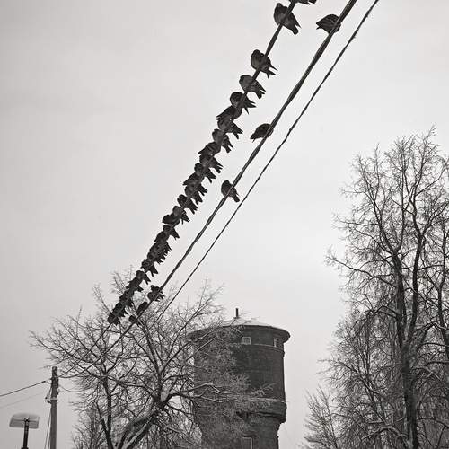 Photo #13700743