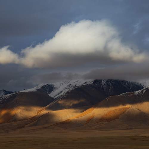 Photo #13700772
