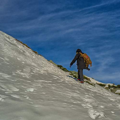 Photo #13700774