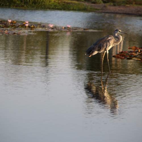 Photo #13700801