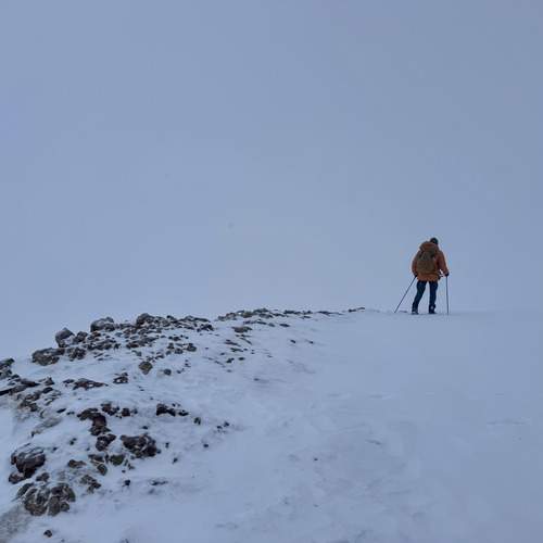 Photo #13700843