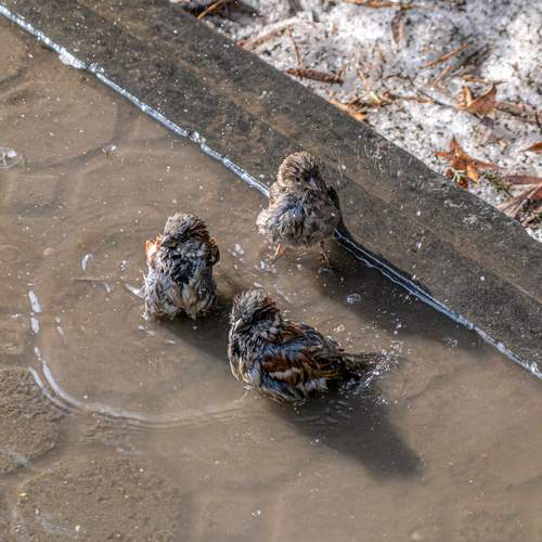 Photo #13700891