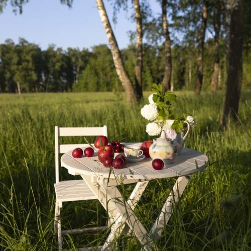 Photo #13700960