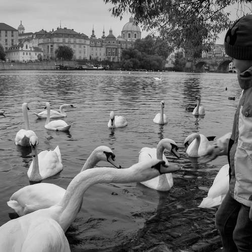 Photo #13700982