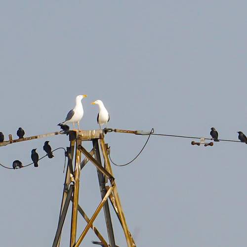Photo #13700993