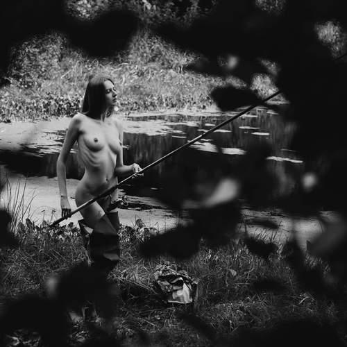 Photo #13701013