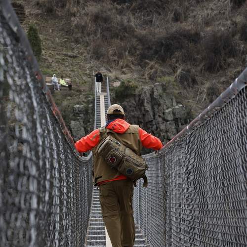 Photo #13701022