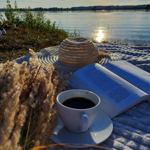 Photo #13701059