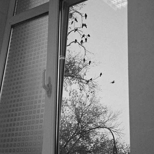 Photo #13701099