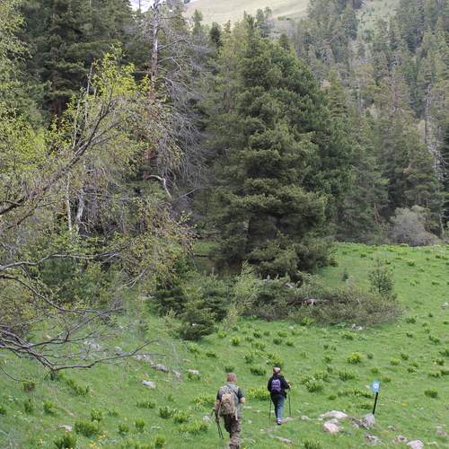 Photo #13701121