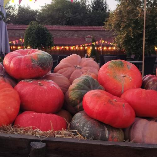 Photo #13701204