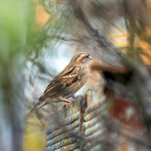 Photo #13701300