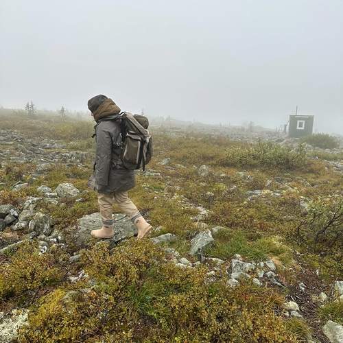 Photo #13701314