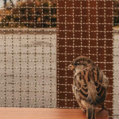 Photo #13701384