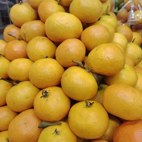 Photo #13701386
