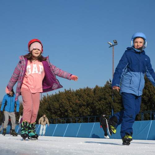 Photo #13701421