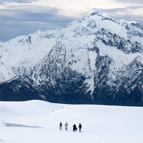 Photo #13701483