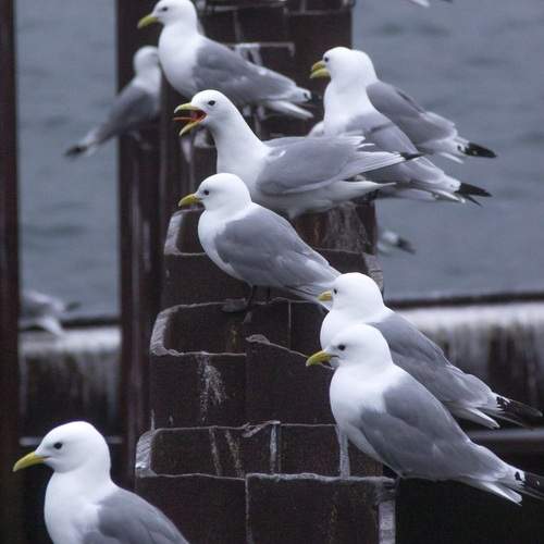 Photo #13701679