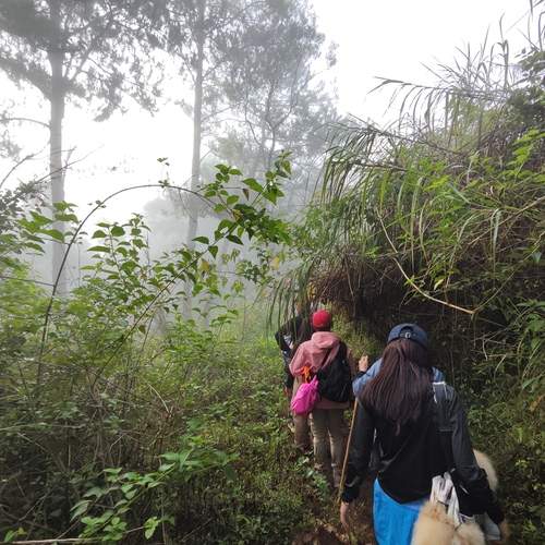 Photo #13701684