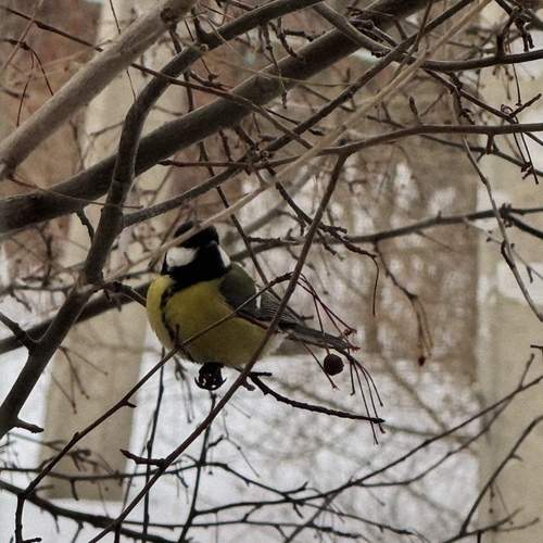 Photo #13701691