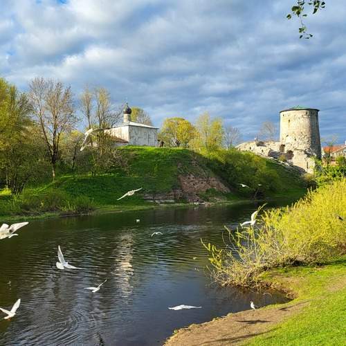 Photo #13701694