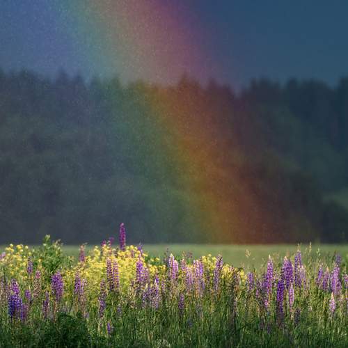 Photo #13701717