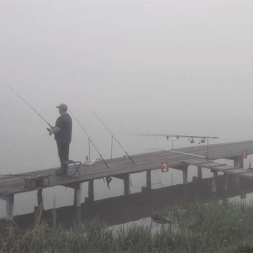 Photo #13701784