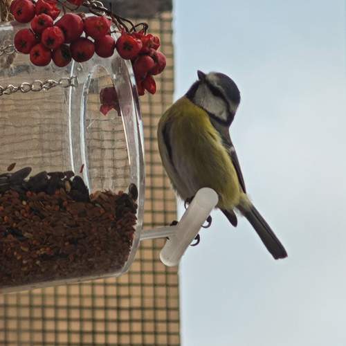 Photo #13701795