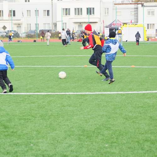 Photo #13701844