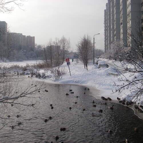 Photo #13701859
