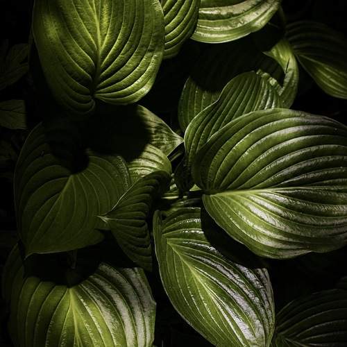 Photo #13701862
