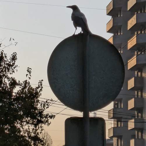Photo #13701984