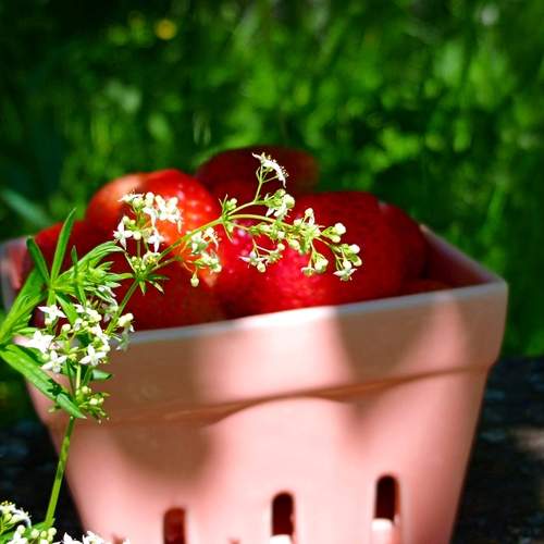 Photo #13702080