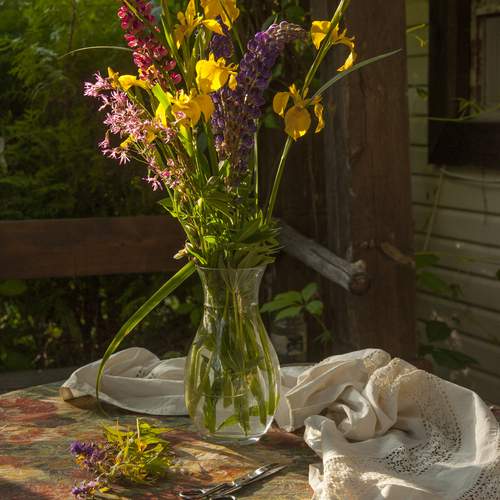 Photo #13702124