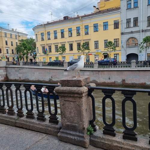 Photo #13702138