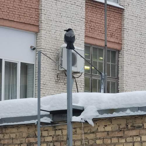 Photo #13702176