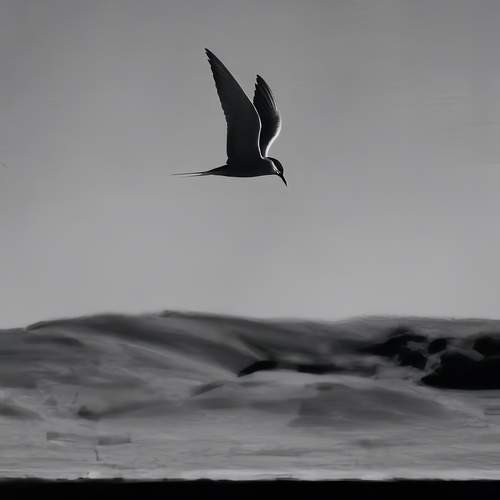 Freedom in Flight