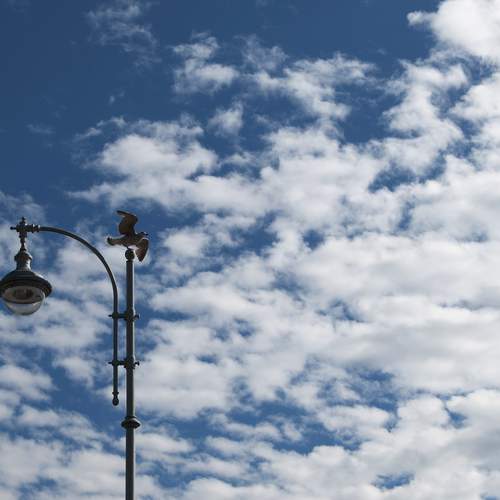 Photo #13702222