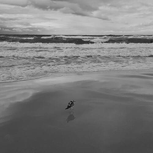 Photo #13702278