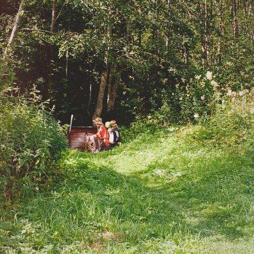Photo #13702281