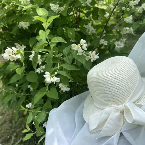 Photo #13702338